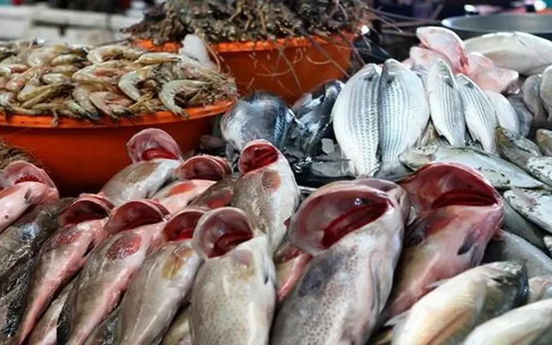 أسعار الأسماك في سوق العبور اليوم السبت 29-11-2025